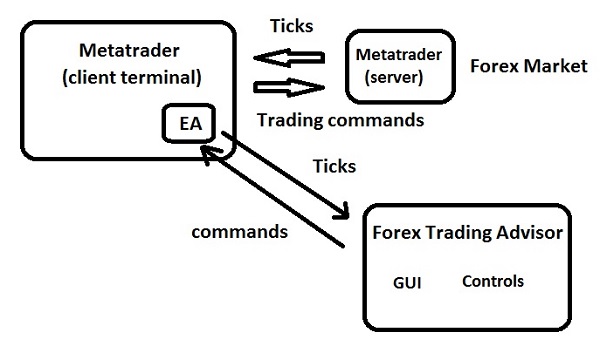 Forex Trading Adviser